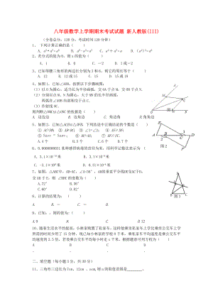 八年級(jí)數(shù)學(xué)上學(xué)期期末考試試題 新人教版(III)