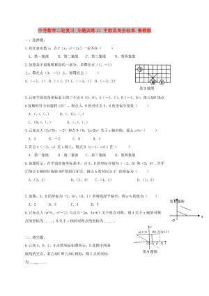 中考數(shù)學二輪復(fù)習 專題訓(xùn)練11 平面直角坐標系 魯教版