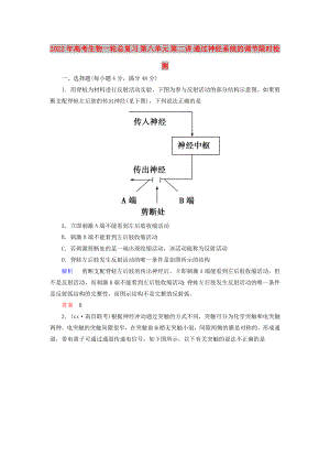 2022年高考生物一輪總復(fù)習(xí) 第八單元 第二講 通過神經(jīng)系統(tǒng)的調(diào)節(jié)限時(shí)檢測