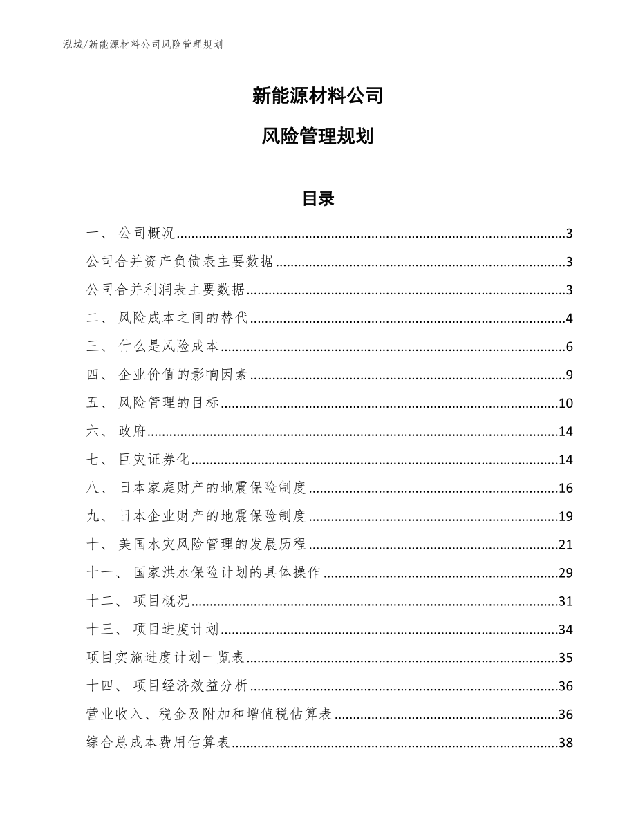 新能源材料公司风险管理规划【范文】_第1页