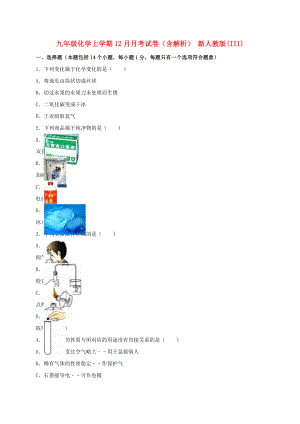 九年級(jí)化學(xué)上學(xué)期12月月考試卷（含解析） 新人教版(III)