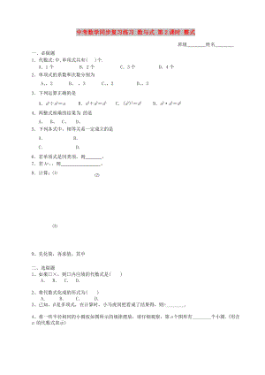 中考數(shù)學(xué)同步復(fù)習(xí)練習(xí) 數(shù)與式 第2課時(shí) 整式