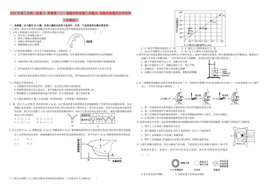 2022年高三生物二輪復(fù)習(xí) 周測卷（三）細(xì)胞的物質(zhì)輸入和輸出 細(xì)胞的能量供應(yīng)和利用（含解析）_第1頁