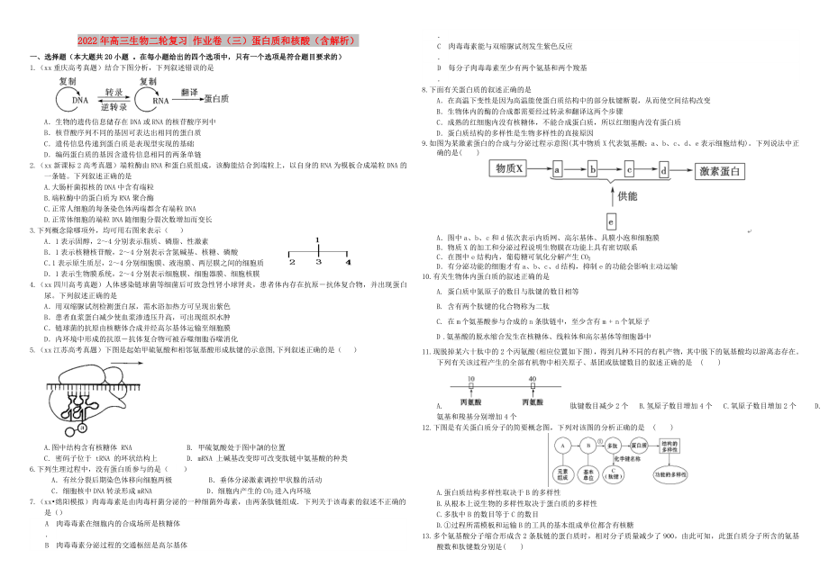 2022年高三生物二輪復習 作業(yè)卷（三）蛋白質和核酸（含解析）_第1頁