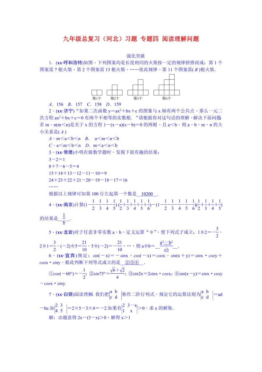 九年級(jí)總復(fù)習(xí)（河北）習(xí)題 專(zhuān)題四 閱讀理解問(wèn)題_第1頁(yè)