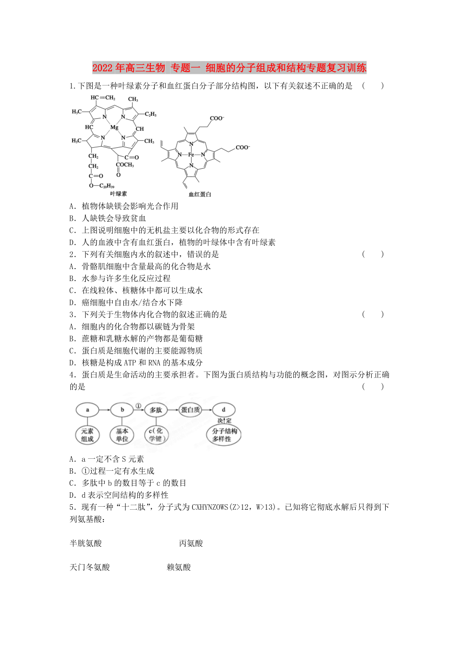 2022年高三生物 專題一 細胞的分子組成和結(jié)構(gòu)專題復(fù)習訓練_第1頁