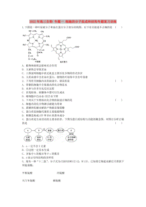 2022年高三生物 專題一 細(xì)胞的分子組成和結(jié)構(gòu)專題復(fù)習(xí)訓(xùn)練