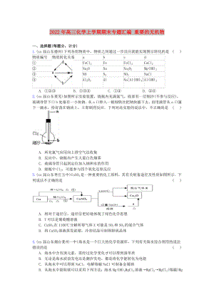 2022年高三化學(xué)上學(xué)期期末專題匯編 重要的無機物