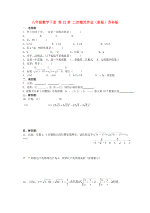 八年級數(shù)學下冊 第12章 二次根式作業(yè)（新版）蘇科版