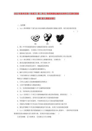 2022年高考生物一輪復(fù)習(xí) 第二單元 物質(zhì)跨膜運(yùn)輸?shù)膶?shí)例和方式課時(shí)跟蹤檢測(cè) 新人教版必修1