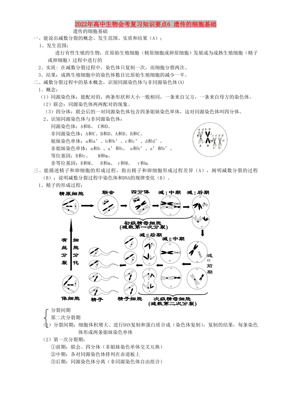 2022年高中生物會(huì)考復(fù)習(xí)知識(shí)要點(diǎn)6 遺傳的細(xì)胞基礎(chǔ)_第1頁