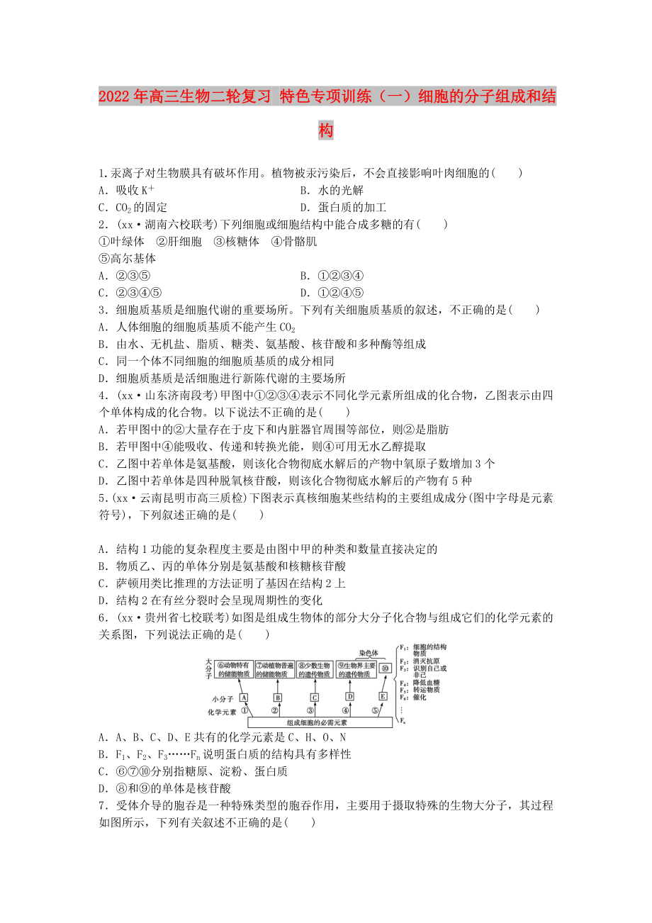 2022年高三生物二轮复习 特色专项训练（一）细胞的分子组成和结构_第1页