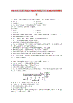 2022年高三生物二輪復(fù)習(xí) 特色專項訓(xùn)練（一）細(xì)胞的分子組成和結(jié)構(gòu)