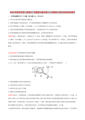 2022年高考生物二輪復(fù)習(xí) 專題能力提升練11 動(dòng)物和人體生命活動(dòng)的調(diào)節(jié)