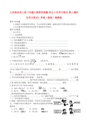 九年級化學上冊《專題6 物質的溶解 單元3 化學方程式 第1課時 化學方程式》學案（新版）湘教版