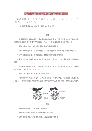 八年級科學(xué)下冊 期末復(fù)習(xí)練習(xí)題 （新版）浙教版