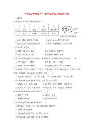 中考化學(xué)專題復(fù)習(xí)一 化學(xué)物質(zhì)的多樣性練習(xí)題