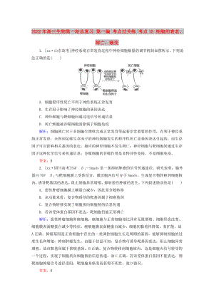 2022年高三生物第一輪總復(fù)習(xí) 第一編 考點(diǎn)過關(guān)練 考點(diǎn)15 細(xì)胞的衰老、凋亡、癌變