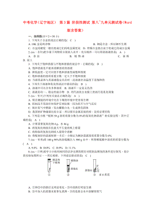 中考化學(xué)（遼寧地區(qū)） 第3篇 階段性測試 第八~九單元測試卷（Word版含答案）