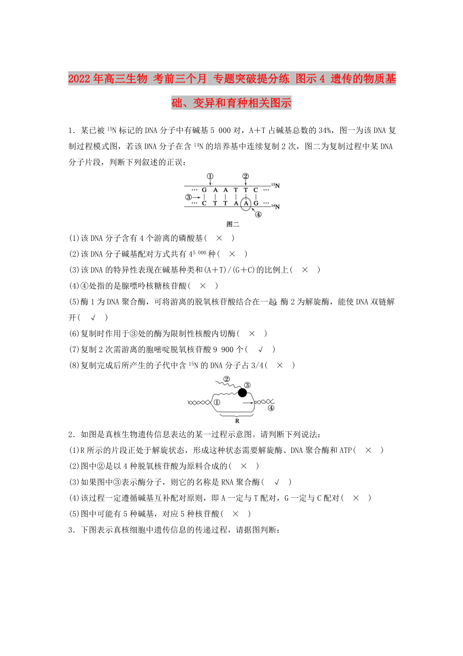 2022年高三生物 考前三個月 專題突破提分練 圖示4 遺傳的物質(zhì)基礎(chǔ)、變異和育種相關(guān)圖示_第1頁