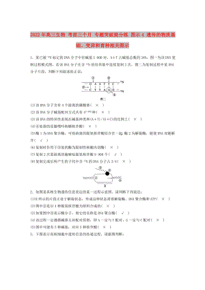 2022年高三生物 考前三個(gè)月 專題突破提分練 圖示4 遺傳的物質(zhì)基礎(chǔ)、變異和育種相關(guān)圖示