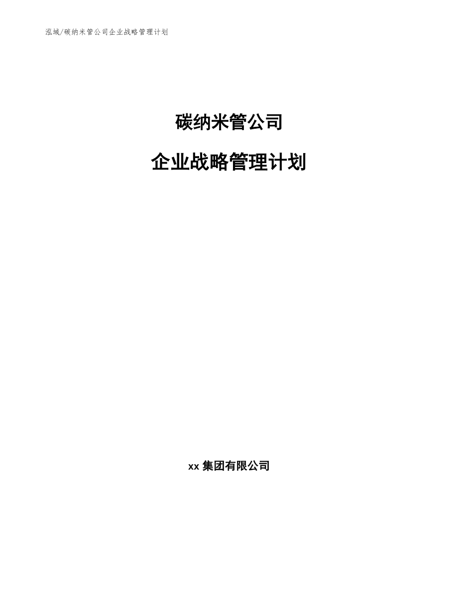 碳纳米管公司企业战略管理计划_第1页