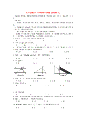 七年級數(shù)學下學期期中試題 蘇科版(V)