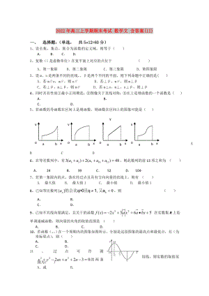 2022年高三上學(xué)期期末考試 數(shù)學(xué)文 含答案(II)