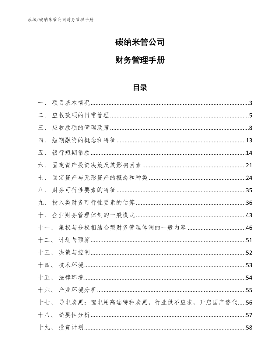 碳纳米管公司财务管理手册_第1页