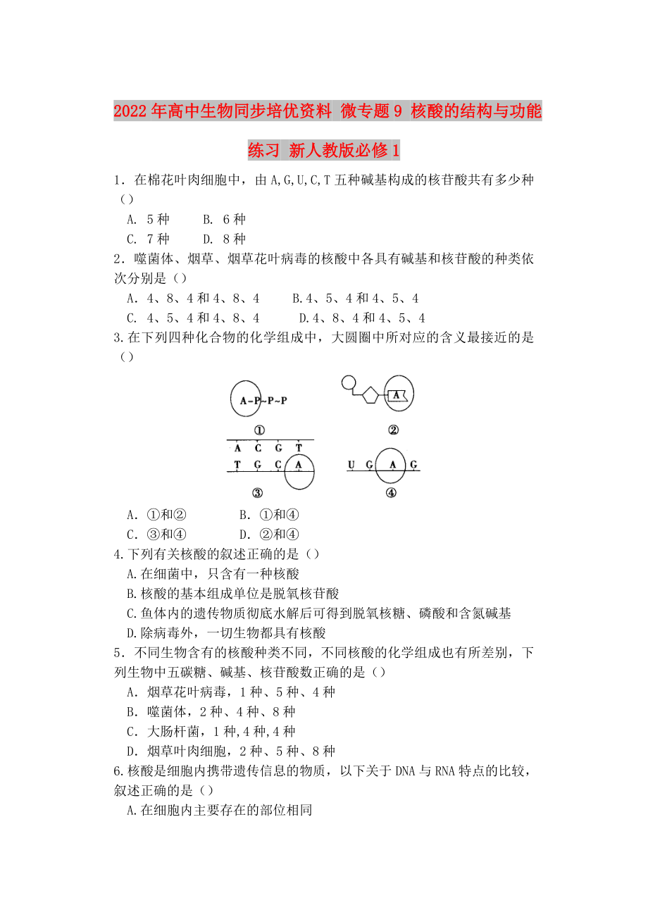 2022年高中生物同步培優(yōu)資料 微專(zhuān)題9 核酸的結(jié)構(gòu)與功能練習(xí) 新人教版必修1_第1頁(yè)