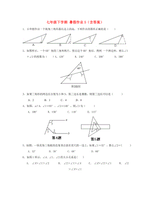 七年級下學期 暑假作業(yè)5（含答案）