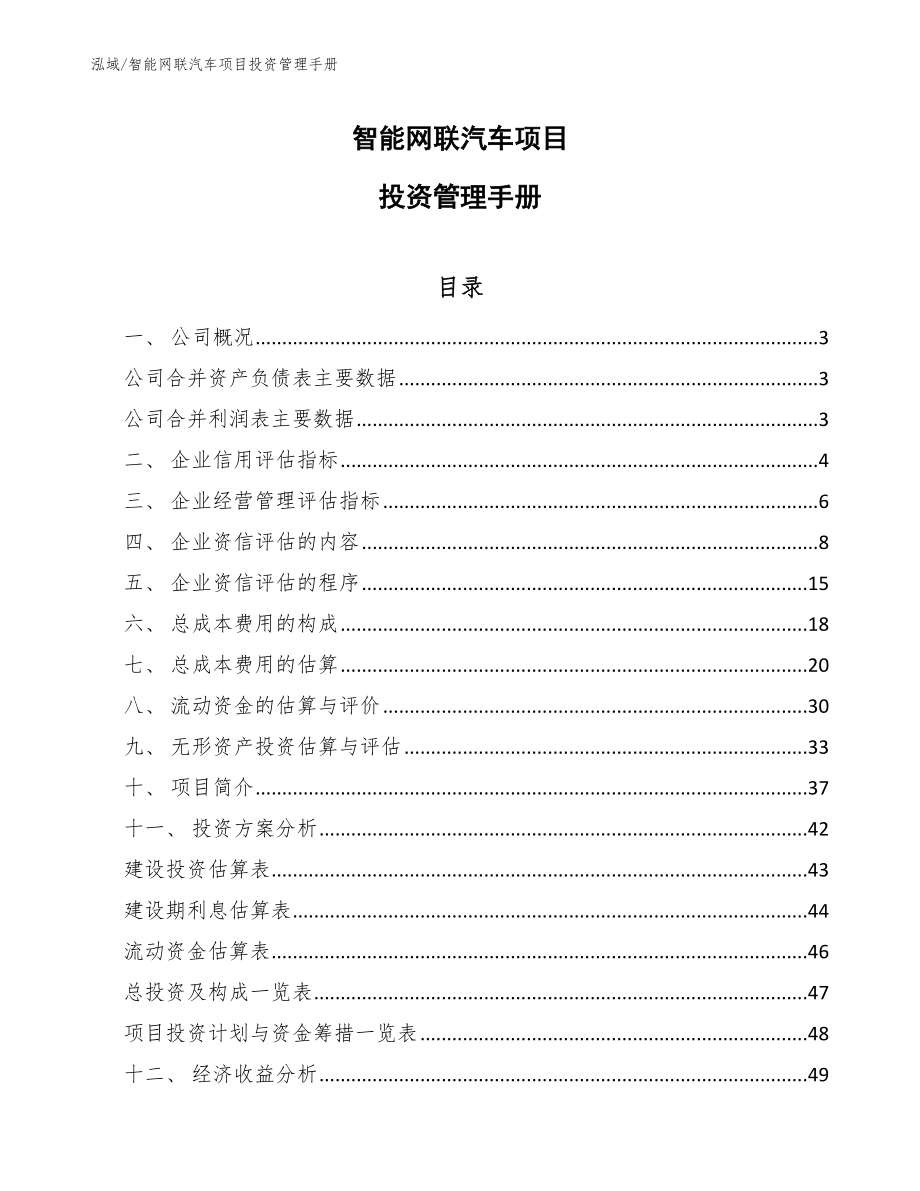 智能网联汽车项目投资管理手册_第1页