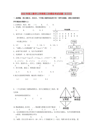 2022年高三数学上学期第三次模拟考试试题 文(III)