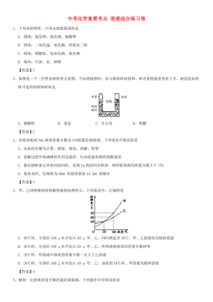 中考化學(xué)重要考點(diǎn) 溶液綜合練習(xí)卷