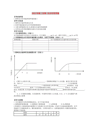 2022年高二生物 光合作用學(xué)案