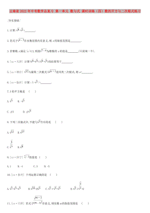 云南省2022年中考數(shù)學(xué)總復(fù)習(xí) 第一單元 數(shù)與式 課時(shí)訓(xùn)練（四）數(shù)的開(kāi)方與二次根式練習(xí)