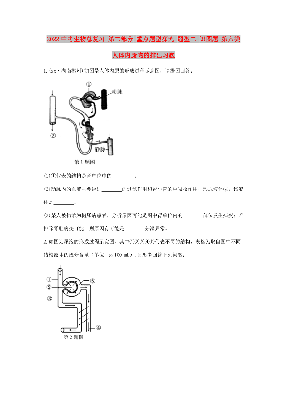 2022中考生物總復習 第二部分 重點題型探究 題型二 識圖題 第六類 人體內(nèi)廢物的排出習題_第1頁