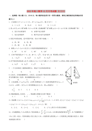 2022年高三數(shù)學(xué)12月月考試題 文(III)