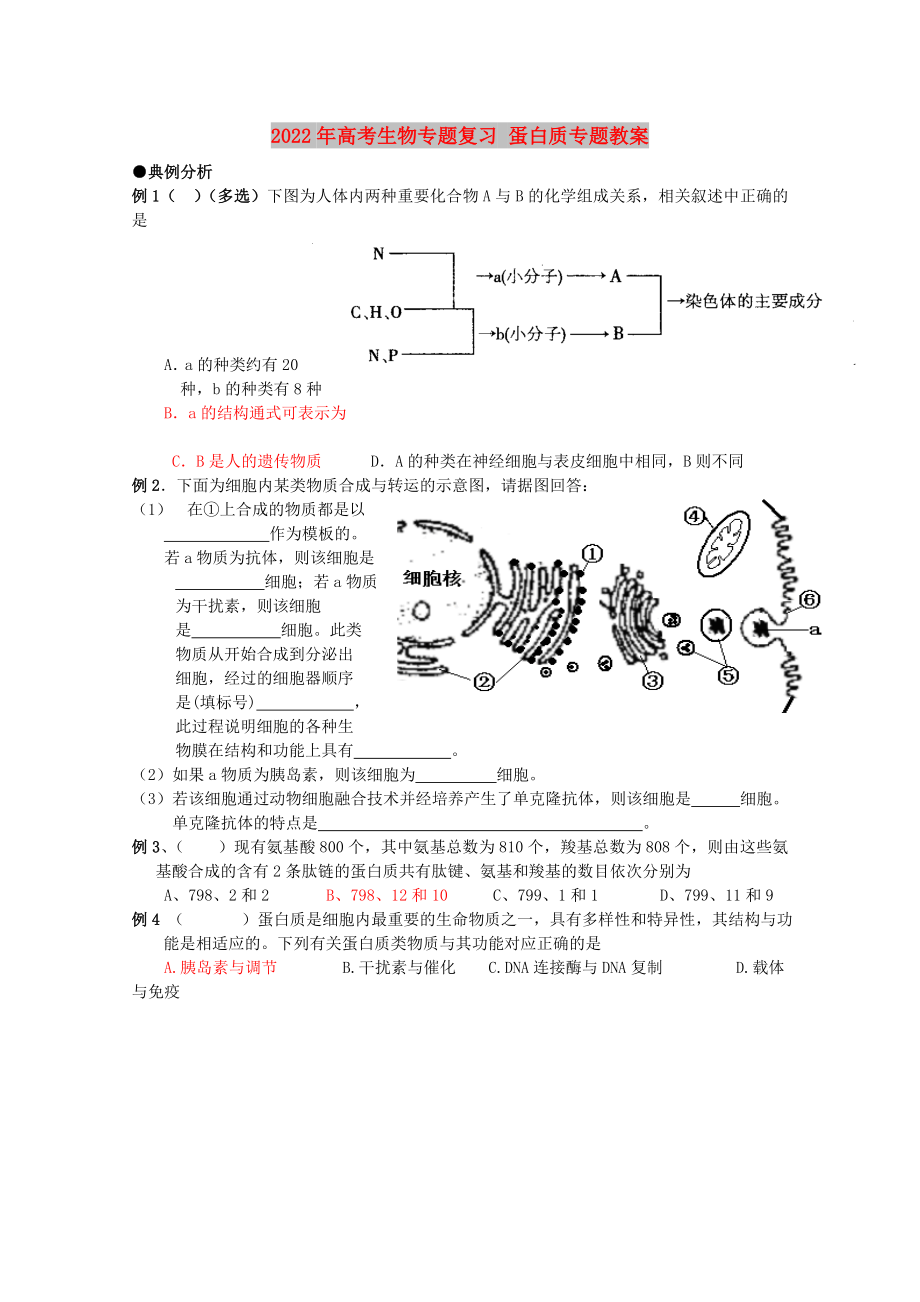 2022年高考生物專題復習 蛋白質(zhì)專題教案_第1頁