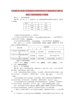 九年級(jí)科學(xué)上冊(cè) 第2章 物質(zhì)轉(zhuǎn)化與材料利用 第5節(jié) 物質(zhì)的轉(zhuǎn)化 專題分類突破三 物質(zhì)的推斷練習(xí) 浙教版