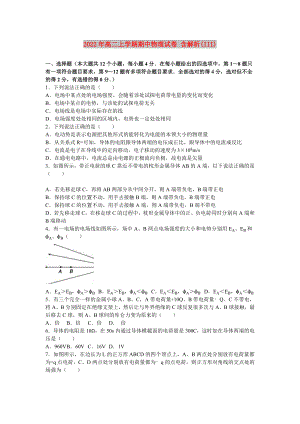 2022年高二上學(xué)期期中物理試卷 含解析(III)