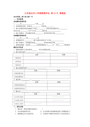 九年級化學上學期寒假作業(yè) 第15天 魯教版