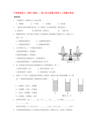 中考物理復(fù)習(xí)（課件 檢測）：第九單元質(zhì)量與密度4.2質(zhì)量與密度