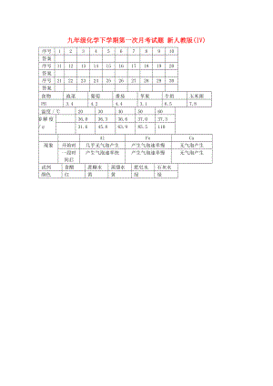 九年級化學(xué)下學(xué)期第一次月考試題 新人教版(IV)