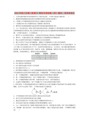 2022年高三生物二輪復習 特色專項訓練（四）遺傳、變異和進化