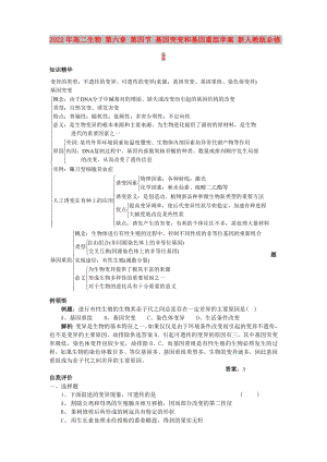 2022年高二生物 第六章 第四節(jié) 基因突變和基因重組學案 新人教版必修2