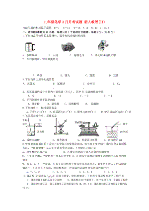 九年級化學(xué)3月月考試題 新人教版(II)