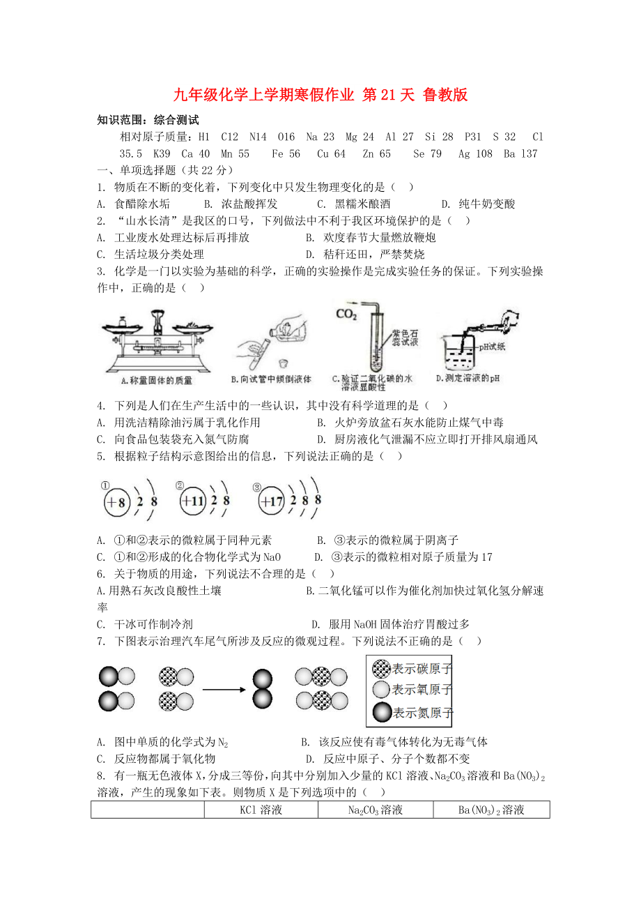 九年级化学上学期寒假作业 第21天 鲁教版_第1页