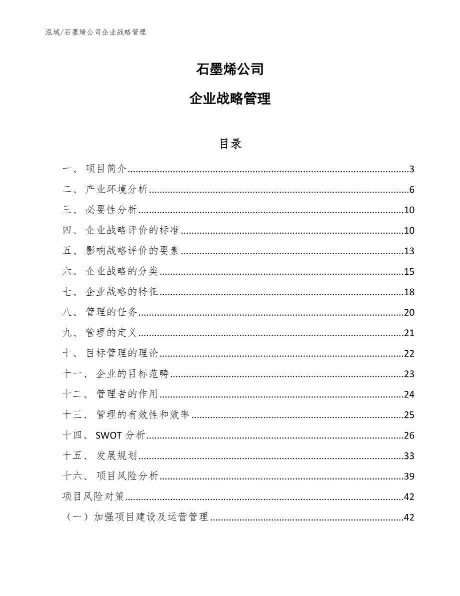 石墨烯公司企业战略管理（范文）_第1页