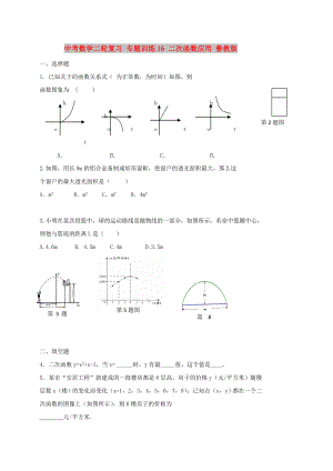 中考數(shù)學(xué)二輪復(fù)習(xí) 專題訓(xùn)練16 二次函數(shù)應(yīng)用 魯教版